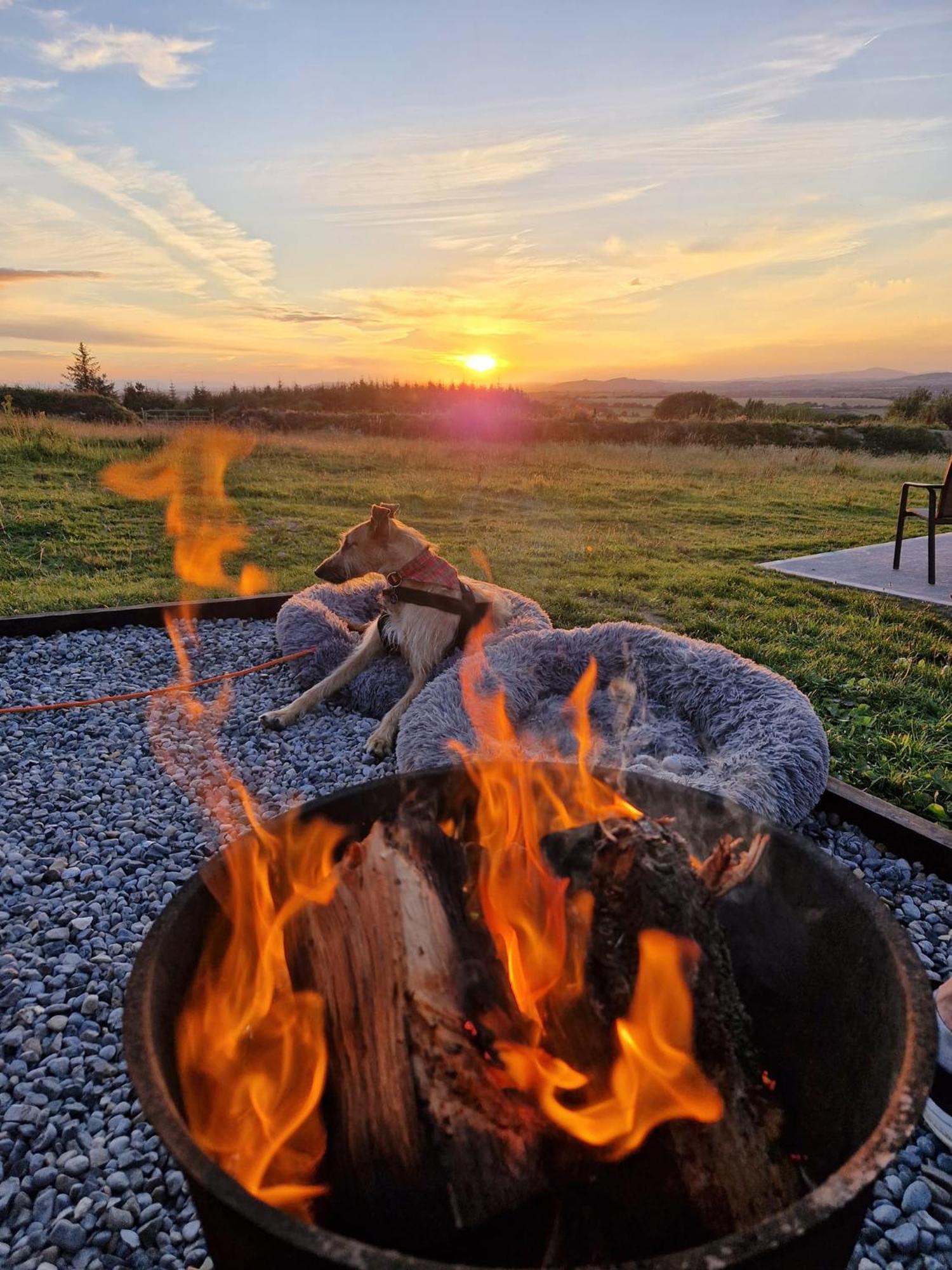 Forth Mountain Glamping Ballintlea Екстер'єр фото