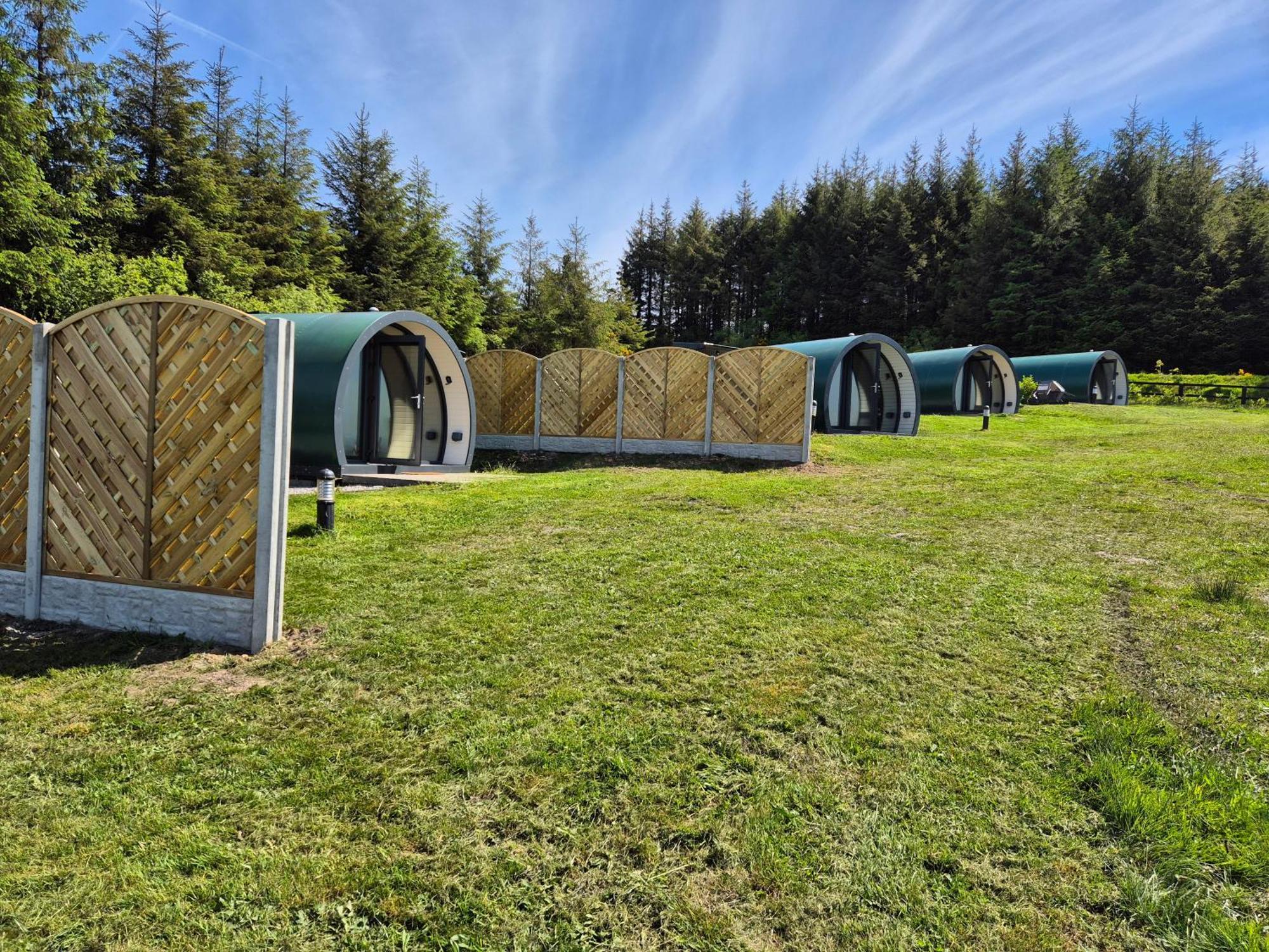 Forth Mountain Glamping Ballintlea Екстер'єр фото
